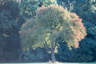 Zur Seite Impressionen - Herbst 07