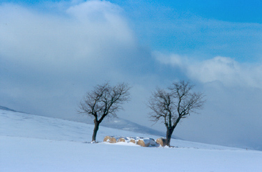 Zur Seite Impressionen - Winter